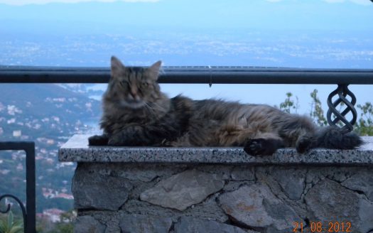 Obiteljska kuća s veličanstvenim pogledom